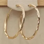 Stainless Steel Hoop Earrings