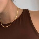 Flat Snake Chain Necklace