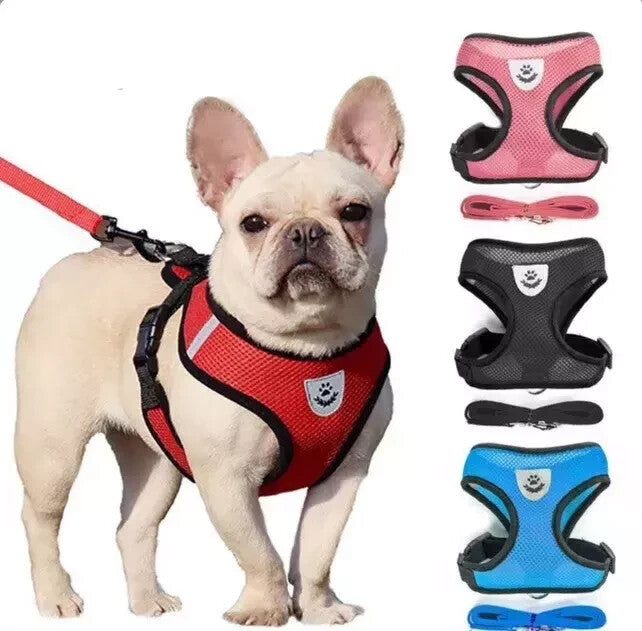 Pet Cat Dog Harness Vest Walking Lead Leash for Cat Puppy Dogs Collar Adjustable