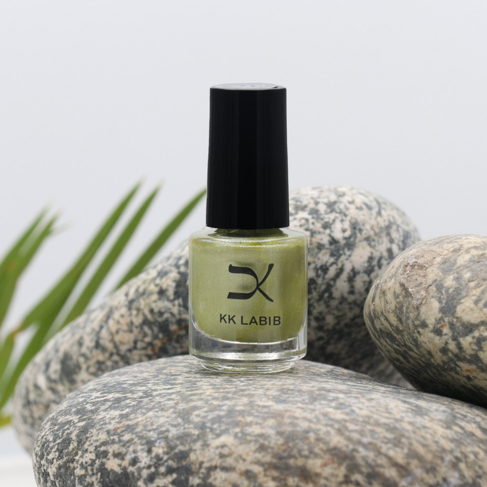 Super Shine Matte Dull Nail Polish Fast Dry Soak Off Nail Art Nail Gel Polish UK