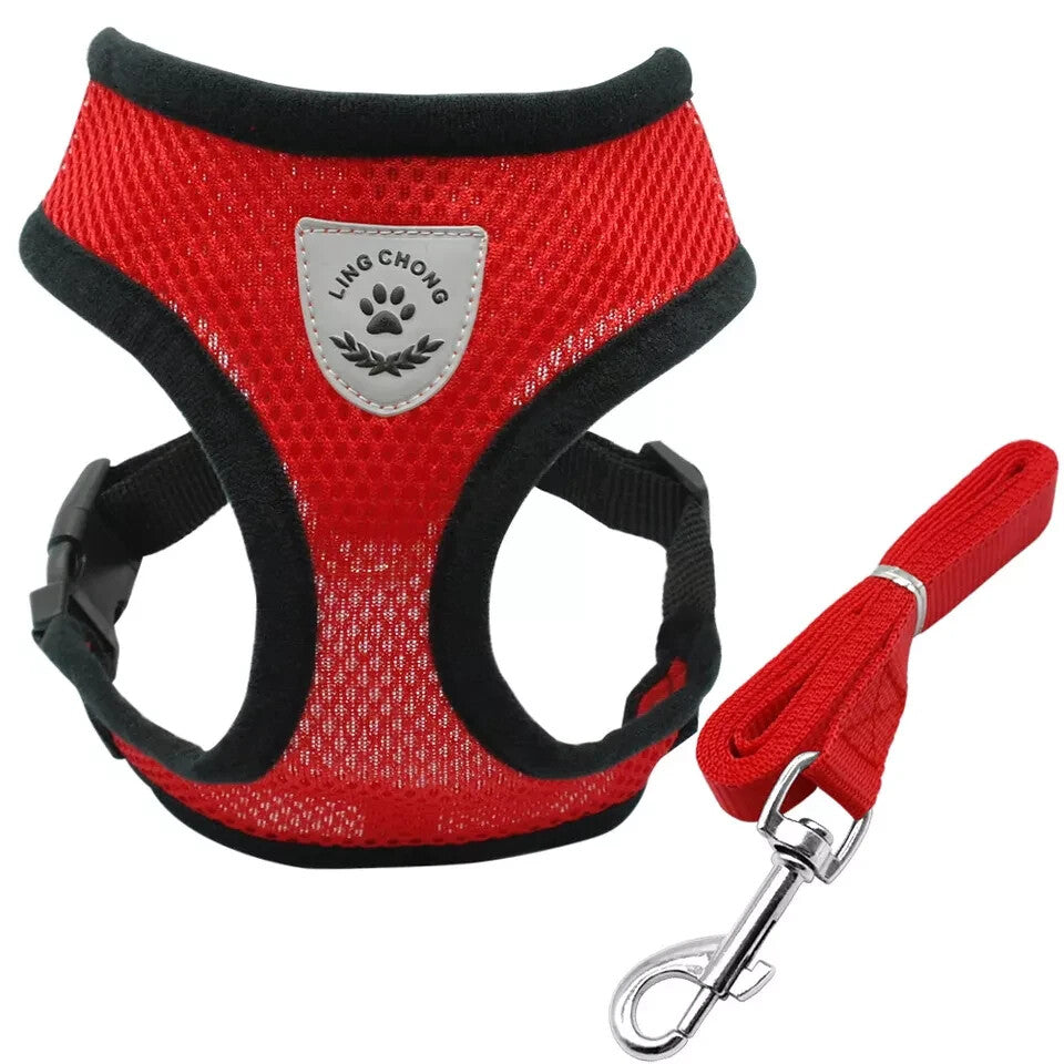 Pet Cat Dog Harness Vest Walking Lead Leash for Cat Puppy Dogs Collar Adjustable
