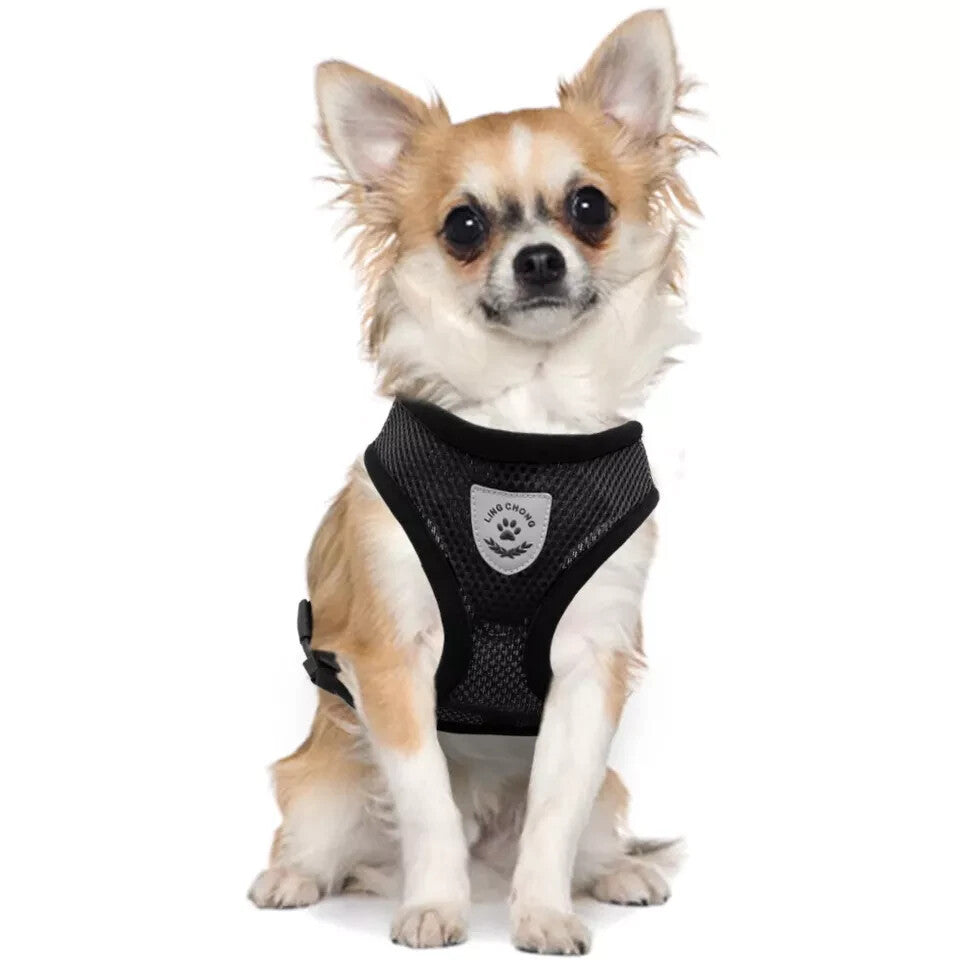 Pet Cat Dog Harness Vest Walking Lead Leash for Cat Puppy Dogs Collar Adjustable