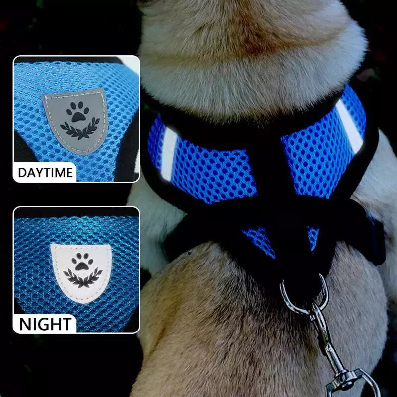 Pet Cat Dog Harness Vest Walking Lead Leash for Cat Puppy Dogs Collar Adjustable