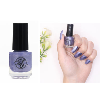 Super Shine Matte Dull Nail Polish Fast Dry Soak Off Nail Art Nail Gel Polish UK