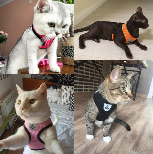 Pet Cat Dog Harness Vest Walking Lead Leash for Cat Puppy Dogs Collar Adjustable