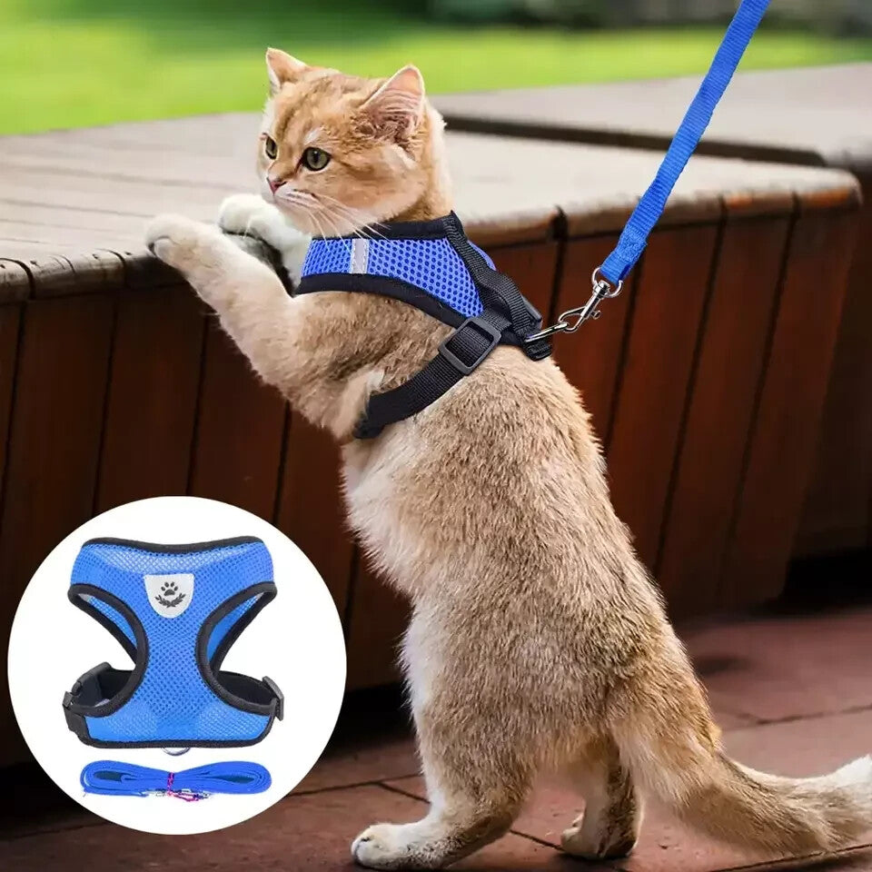 Pet Cat Dog Harness Vest Walking Lead Leash for Cat Puppy Dogs Collar Adjustable
