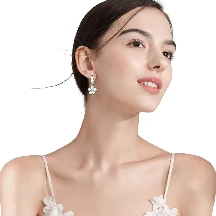 925 Sterling Silver Drop Dangle Earrings Simple Zircon Crystal Women Jewellry