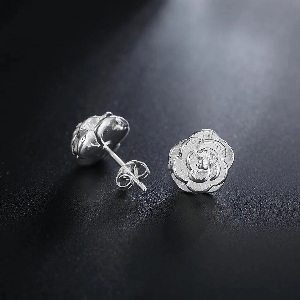 Silver Stunning Various Style Stud Earrings