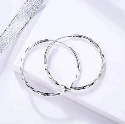 Stainless Steel Hoop Earrings